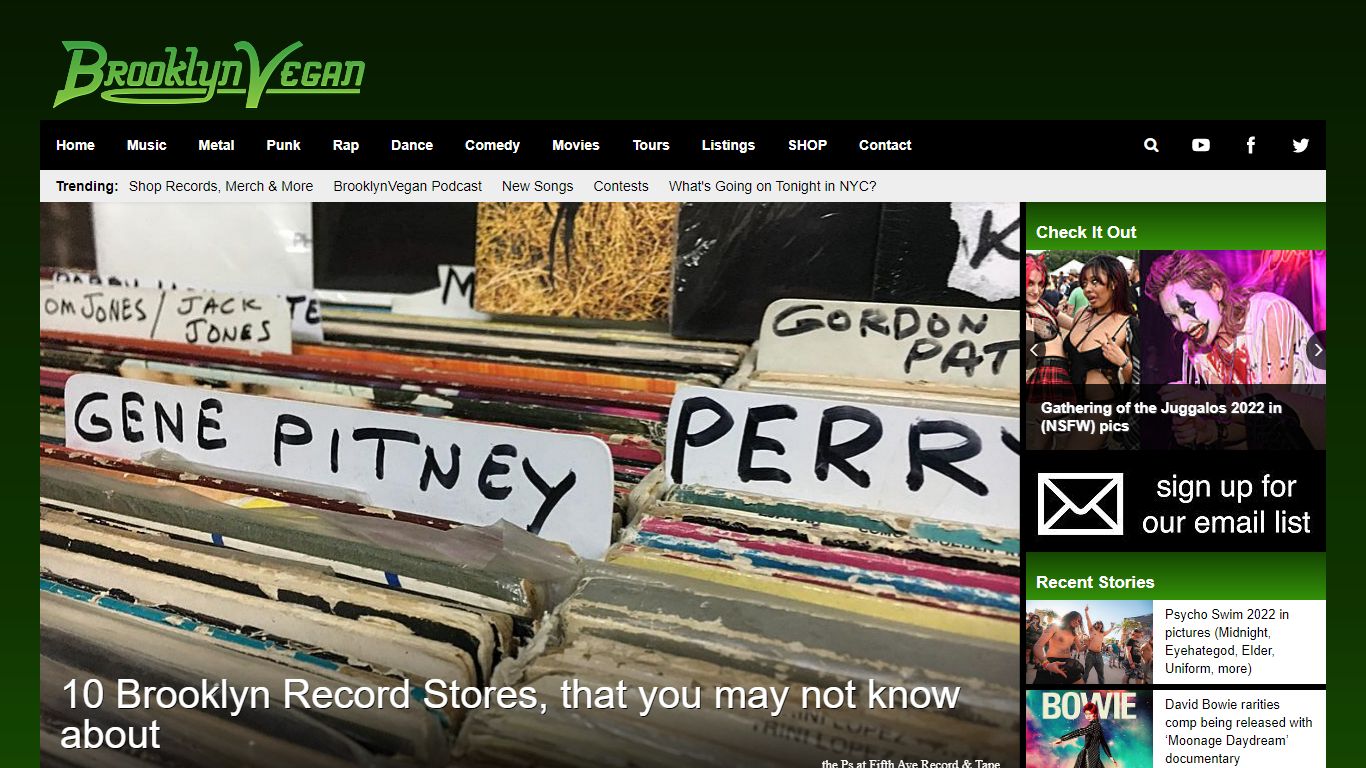 10 Brooklyn Record Stores, that you may not know about